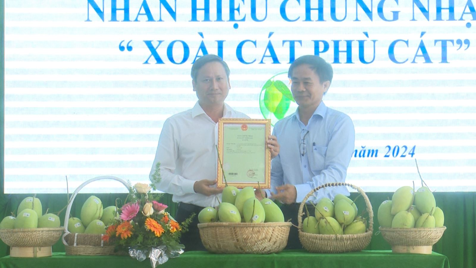 Phù Cát đã tổ chức lễ công bố nhãn hiệu chứng nhận “Xoài cát Phù Cát”